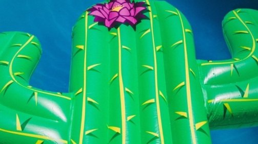 demo-attachment-335-jakob-owens-gtuzMFrkq6Q-unsplash